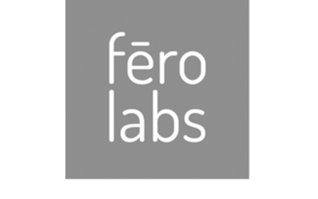 Fero Labs